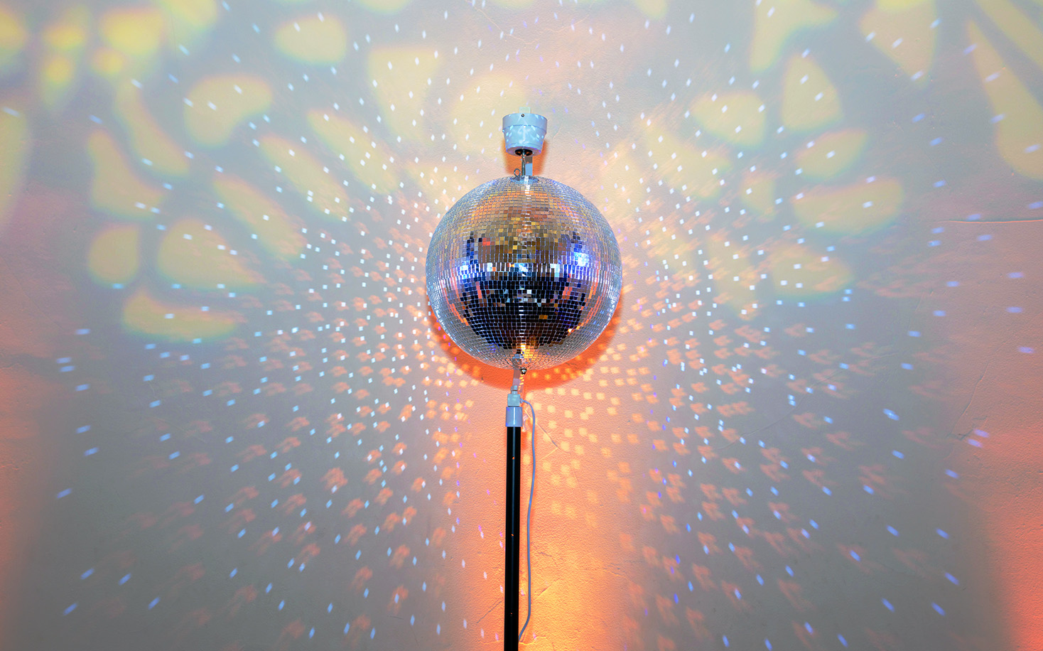 timber-black-crop-absolute-dj